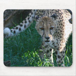 Tapis De Souris Cheetah sur la chasse