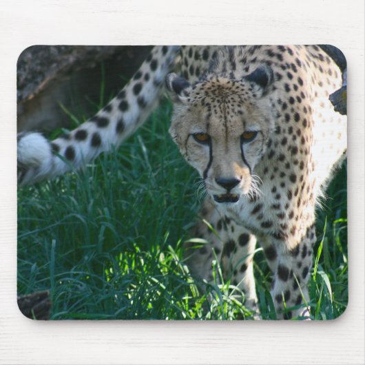 Tapis De Souris Cheetah sur la chasse (Devant)