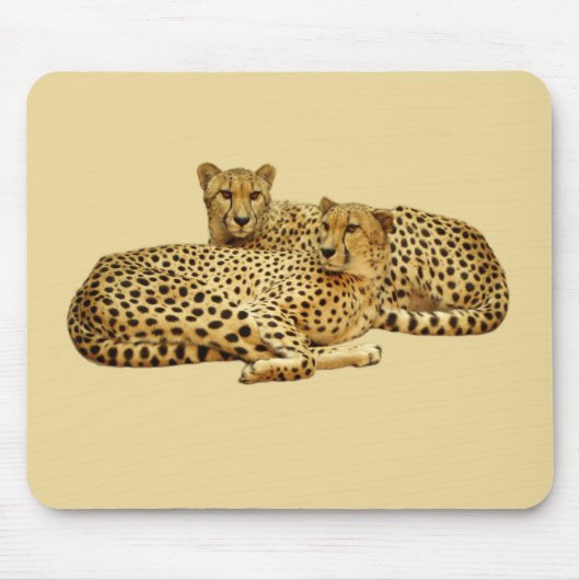 Tapis De Souris Cheetahs (Devant)