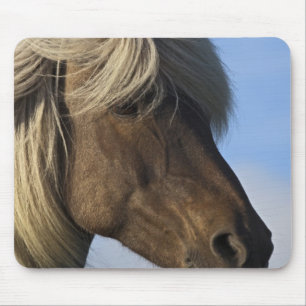 Tapis De Souris Chef de cheval islandais, Islande