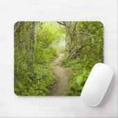 Tapis De Souris Chemin à travers la forêt (Avec souris)