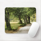 Tapis De Souris Chemin dans le pays (Avec souris)