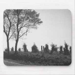 Tapis De Souris Chemin de terre par le champ B&W