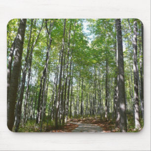 Tapis De Souris Chemin en bois centenaire II Ellicott City Marylan