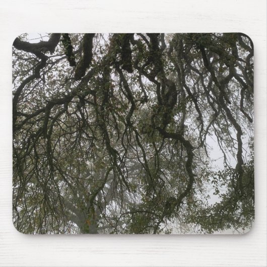 Tapis De Souris Chênes bleus Foggy (Devant)