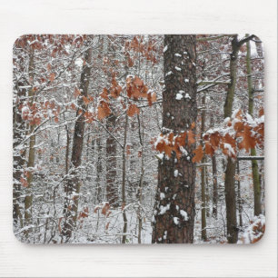 Tapis De Souris Chênes recouverts de neige Photographie de nature