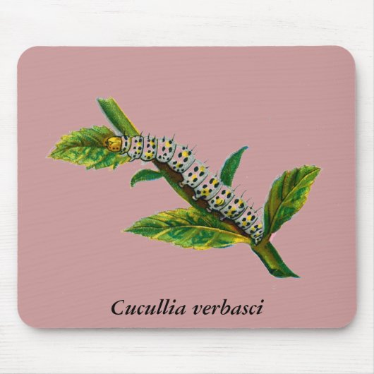Tapis De Souris chenille de Cucullia verbasci (Devant)