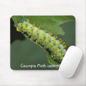 Tapis De Souris Chenille de mite de Cecropia (Avec souris)