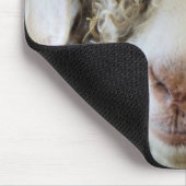 TAPIS DE SOURIS CHÈQUE CUTE (Coin)