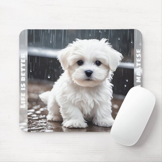 Tapis De Souris Cher Chien Maltais Chien Chien Chien Chien Chien C (Avec souris)