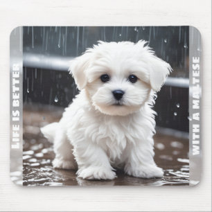 Tapis De Souris Cher Chien Maltais Chien Chien Chien Chien Chien C