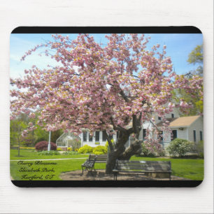 Tapis De Souris Cherry Blossoms, Elizabeth Park, Hartford CT