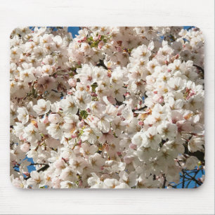 Tapis De Souris Cherry Tree in Bloom, Oregon