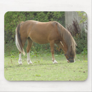 Tapis De Souris Chestnut Brown Cheval Pâturage Mousepad