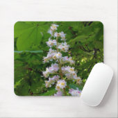 Tapis De Souris chestnut flower (Avec souris)