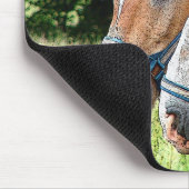 Tapis De Souris Cheval (Coin)