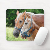 Tapis De Souris Cheval (Avec souris)