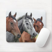 Tapis De Souris Cheval (Avec souris)