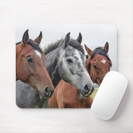 Tapis De Souris Cheval (Avec souris)
