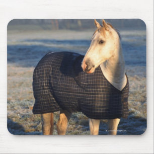 Tapis De Souris cheval
