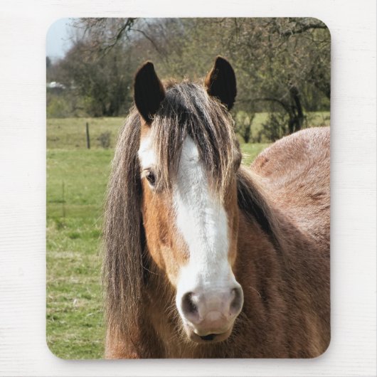 TAPIS DE SOURIS CHEVAL (Devant)