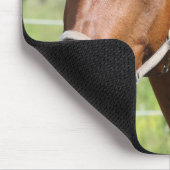 Tapis De Souris Cheval (Coin)