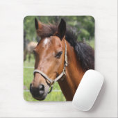 Tapis De Souris Cheval (Avec souris)