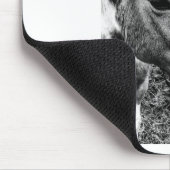 Tapis De Souris Cheval (Coin)