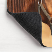 Tapis De Souris Cheval (Coin)