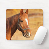 Tapis De Souris Cheval (Avec souris)