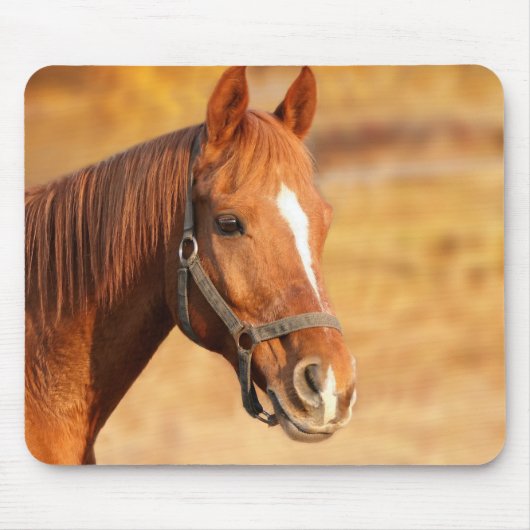 Tapis De Souris Cheval (Devant)