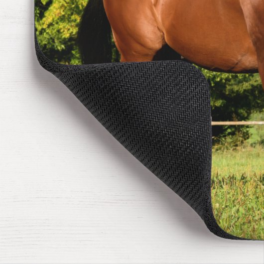 Tapis De Souris Cheval (Coin)