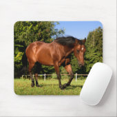 Tapis De Souris Cheval (Avec souris)