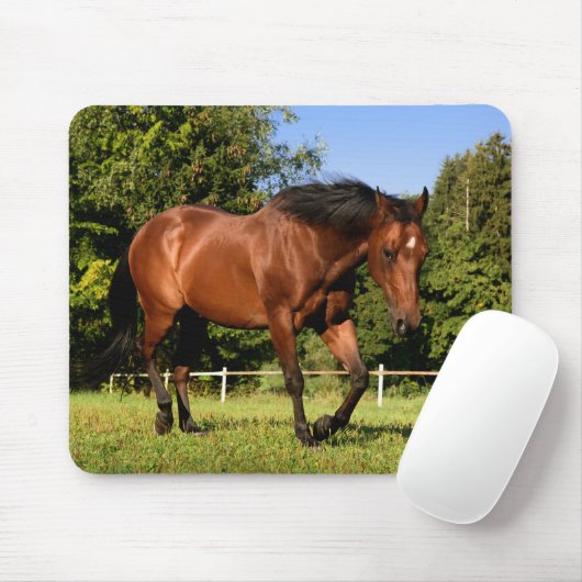 Tapis De Souris Cheval (Avec souris)