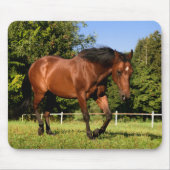 Tapis De Souris Cheval (Devant)