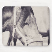 Tapis De Souris Cheval 009 (Devant)