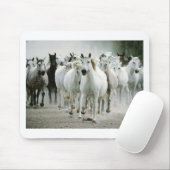 Tapis De Souris Cheval 1 (Avec souris)