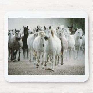 Tapis De Souris Cheval 1