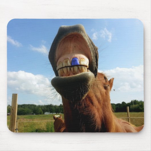 Tapis De Souris Cheval à dents bleues (Devant)