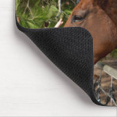 Tapis De Souris Cheval Ami Pour Toujours, Mousepad (Coin)