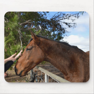 Tapis De Souris Cheval Ami Pour Toujours, Mousepad