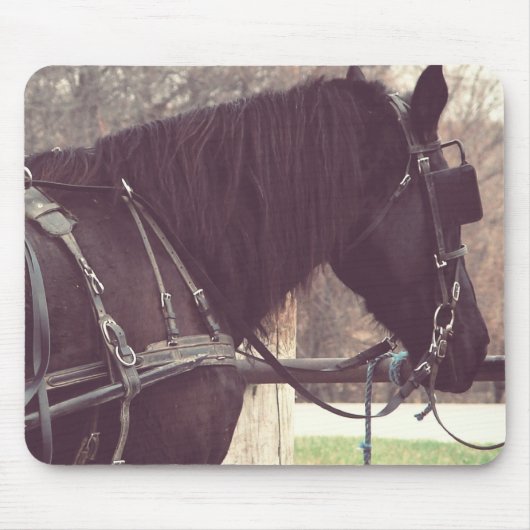 Tapis De Souris Cheval Amish (Devant)