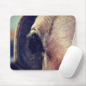 Tapis De Souris Cheval Amish (Avec souris)