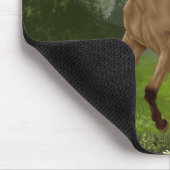 Tapis De Souris Cheval Appaloosa Buckskin (Coin)