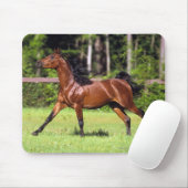 Tapis De Souris Cheval arabe courant 2 (Avec souris)