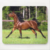 Tapis De Souris Cheval arabe courant 2 (Devant)