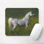 Tapis De Souris Cheval arabe se tenant en fleurs (Avec souris)