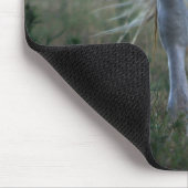 Tapis De Souris Cheval blanc (Coin)