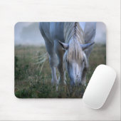 Tapis De Souris Cheval blanc (Avec souris)
