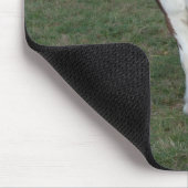 Tapis De Souris Cheval blanc Brown (Coin)